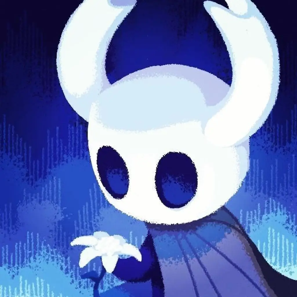 Hollow Knight RPG